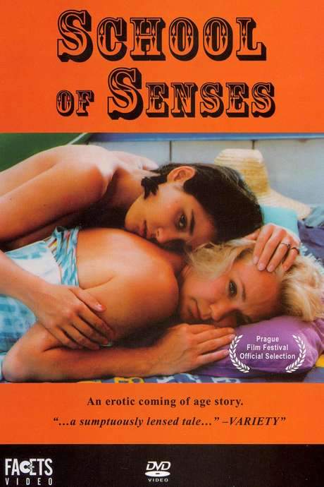 School of Senses